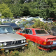 Image for article titled A Michigan Town Is Forcing This Man To Sell 20 Old Cars Off His Property Every Month